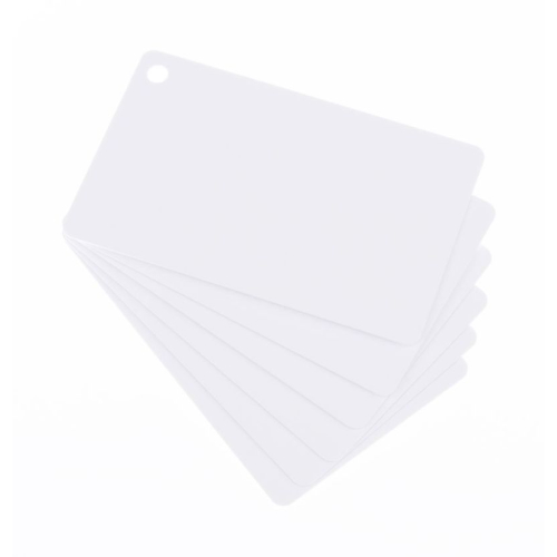 Blanko- Plastikkarten weiß mit Keytag Stanzung